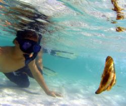 My son checking out a batfish in the shallows, Ningaloo Reef by Penny Murphy 